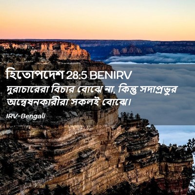 Picture 02 - হিতোপদেশ 28:5 BENIRV - দুরাচারেরা বিচার - Bible Verse Picture