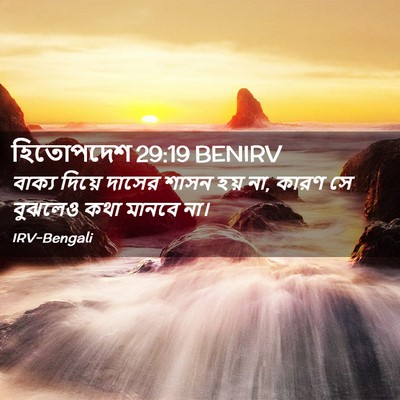 Picture 02 - হিতোপদেশ 29:19 BENIRV - বাক্য দিয়ে দাসের - Bible Verse Picture