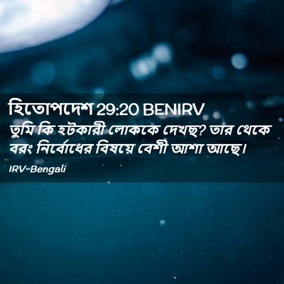 Picture 02 - হিতোপদেশ 29:20 BENIRV - তুমি কি হটকারী - Bible Verse Picture