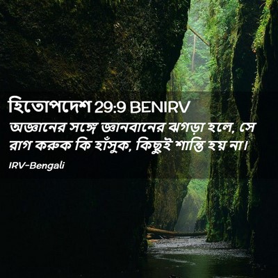 Picture 02 - হিতোপদেশ 29:9 BENIRV - অজ্ঞানের সঙ্গে - Bible Verse Picture