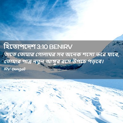 Picture 02 - হিতোপদেশ 3:10 BENIRV - তাতে তোমার গোলাঘর - Bible Verse Picture