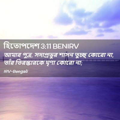 Picture 02 - হিতোপদেশ 3:11 BENIRV - আমার পুত্র, - Bible Verse Picture