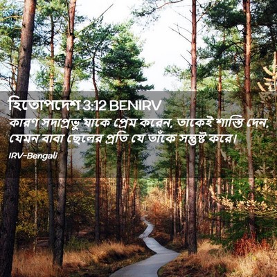 Picture 02 - হিতোপদেশ 3:12 BENIRV - কারণ সদাপ্রভু - Bible Verse Picture