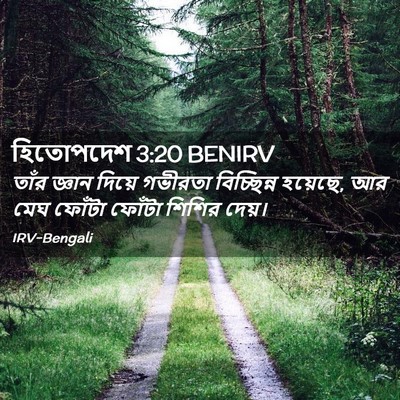 Picture 02 - হিতোপদেশ 3:20 BENIRV - তাঁর জ্ঞান দিয়ে - Bible Verse Picture