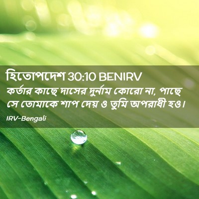 Picture 02 - হিতোপদেশ 30:10 BENIRV - কর্তার কাছে দাসের - Bible Verse Picture