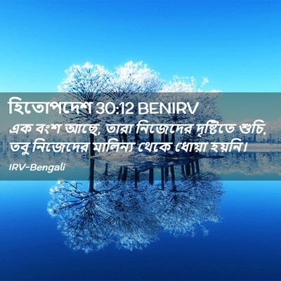Picture 02 - হিতোপদেশ 30:12 BENIRV - এক বংশ আছে, তারা - Bible Verse Picture