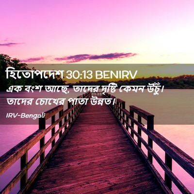 Picture 02 - হিতোপদেশ 30:13 BENIRV - এক বংশ আছে, তাদের - Bible Verse Picture