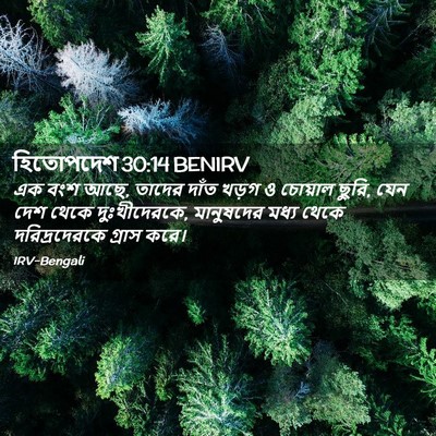Picture 02 - হিতোপদেশ 30:14 BENIRV - এক বংশ আছে, তাদের - Bible Verse Picture