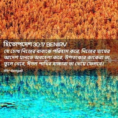 Picture 02 - হিতোপদেশ 30:17 BENIRV - যে চোখ নিজের - Bible Verse Picture