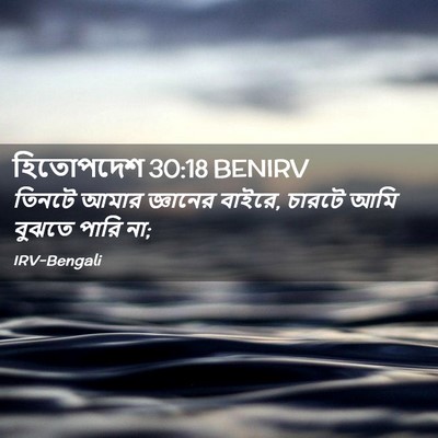 Picture 02 - হিতোপদেশ 30:18 BENIRV - তিনটে আমার - Bible Verse Picture