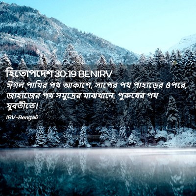 Picture 02 - হিতোপদেশ 30:19 BENIRV - ঈগল পাখির পথ আকাশে, - Bible Verse Picture