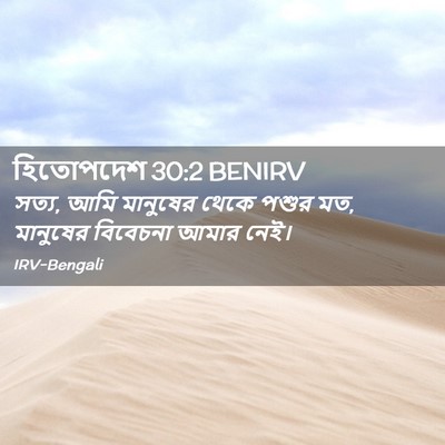 Picture 02 - হিতোপদেশ 30:2 BENIRV - সত্য, আমি মানুষের - Bible Verse Picture