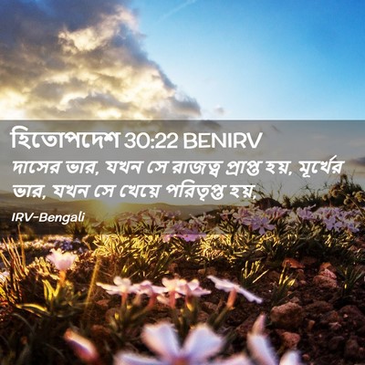 Picture 02 - হিতোপদেশ 30:22 BENIRV - দাসের ভার, যখন সে - Bible Verse Picture
