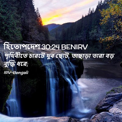 Picture 02 - হিতোপদেশ 30:24 BENIRV - পৃথিবীতে চারটে - Bible Verse Picture