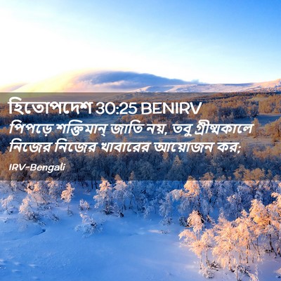 Picture 02 - হিতোপদেশ 30:25 BENIRV - পিপড়ে শক্তিমান্ - Bible Verse Picture
