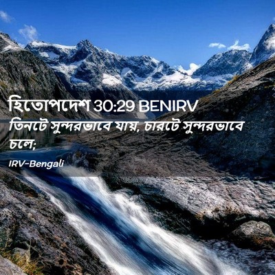 Picture 02 - হিতোপদেশ 30:29 BENIRV - তিনটে সুন্দরভাবে - Bible Verse Picture