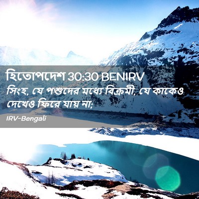 Picture 02 - হিতোপদেশ 30:30 BENIRV - সিংহ, যে পশুদের - Bible Verse Picture