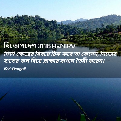Picture 02 - হিতোপদেশ 31:16 BENIRV - তিনি ক্ষেত্রের - Bible Verse Picture
