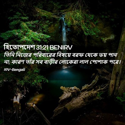 Picture 02 - হিতোপদেশ 31:21 BENIRV - তিনি নিজের - Bible Verse Picture