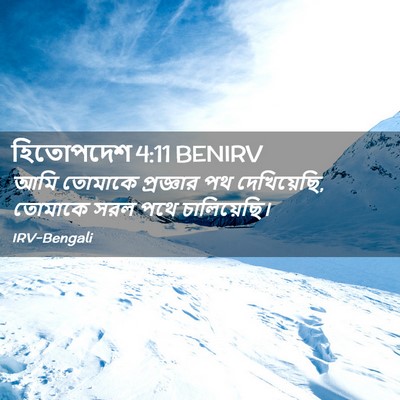 Picture 02 - হিতোপদেশ 4:11 BENIRV - আমি তোমাকে - Bible Verse Picture