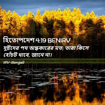 Picture 02 - হিতোপদেশ 4:19 BENIRV - দুষ্টদের পথ - Bible Verse Picture