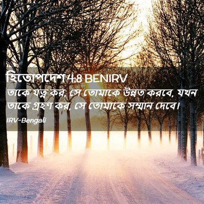 Picture 02 - হিতোপদেশ 4:8 BENIRV - তাকে যত্ন কর, সে - Bible Verse Picture