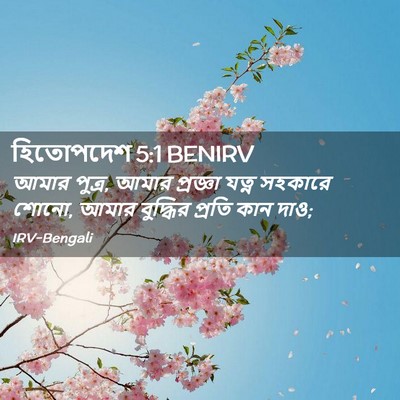 Picture 02 - হিতোপদেশ 5:1 BENIRV - আমার পুত্র, আমার - Bible Verse Picture