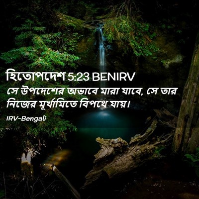 Picture 02 - হিতোপদেশ 5:23 BENIRV - সে উপদেশের অভাবে - Bible Verse Picture