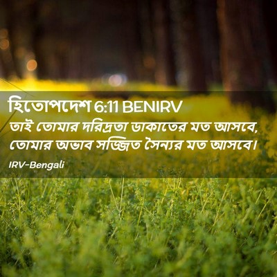 Picture 02 - হিতোপদেশ 6:11 BENIRV - তাই তোমার - Bible Verse Picture