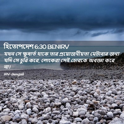 Picture 02 - হিতোপদেশ 6:30 BENIRV - যখন সে ক্ষুধার্ত - Bible Verse Picture