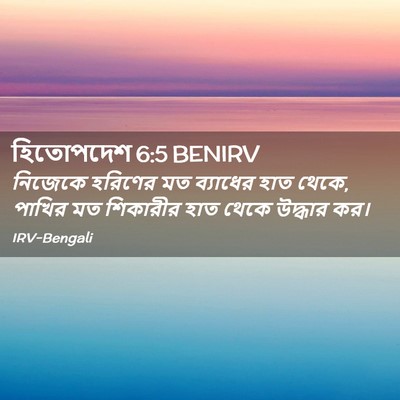 Picture 02 - হিতোপদেশ 6:5 BENIRV - নিজেকে হরিণের মত - Bible Verse Picture