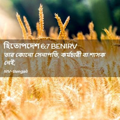 Picture 02 - হিতোপদেশ 6:7 BENIRV - তার কোনো সেনাপতি, - Bible Verse Picture