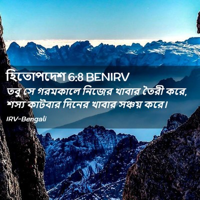 Picture 02 - হিতোপদেশ 6:8 BENIRV - তবু সে গরমকালে - Bible Verse Picture
