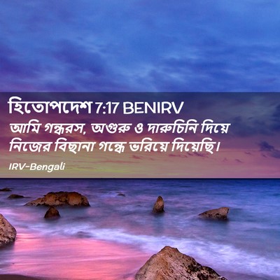 Picture 02 - হিতোপদেশ 7:17 BENIRV - আমি গন্ধরস, অগুরু ও - Bible Verse Picture