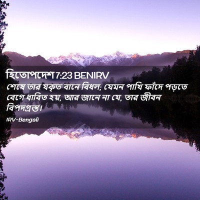 Picture 02 - হিতোপদেশ 7:23 BENIRV - শেষে তার যকৃত বানে - Bible Verse Picture