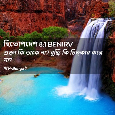 Picture 02 - হিতোপদেশ 8:1 BENIRV - প্রজ্ঞা কি ডাকে না? - Bible Verse Picture