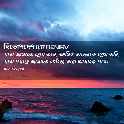 Picture 02 - হিতোপদেশ 8:17 BENIRV - যারা আমাকে প্রেম - Bible Verse Picture