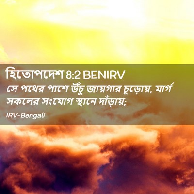Picture 02 - হিতোপদেশ 8:2 BENIRV - সে পথের পাশে উঁচু - Bible Verse Picture