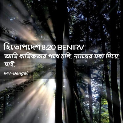 Picture 02 - হিতোপদেশ 8:20 BENIRV - আমি ধার্মিকতার - Bible Verse Picture