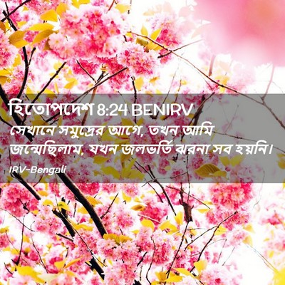 Picture 02 - হিতোপদেশ 8:24 BENIRV - সেখানে সমুদ্রের - Bible Verse Picture