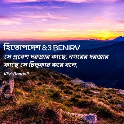 Picture 02 - হিতোপদেশ 8:3 BENIRV - সে প্রবেশ দরজার - Bible Verse Picture