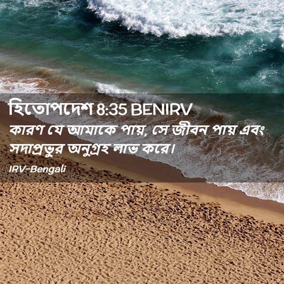Picture 02 - হিতোপদেশ 8:35 BENIRV - কারণ যে আমাকে পায়, - Bible Verse Picture