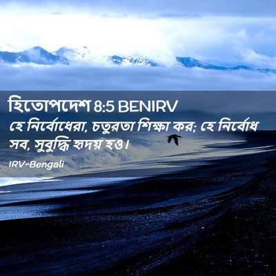 Picture 02 - হিতোপদেশ 8:5 BENIRV - হে নির্বোধেরা, - Bible Verse Picture