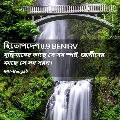 Picture 02 - হিতোপদেশ 8:9 BENIRV - বুদ্ধিমানের কাছে - Bible Verse Picture