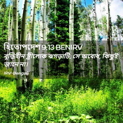 Picture 02 - হিতোপদেশ 9:13 BENIRV - বুদ্ধিহীন - Bible Verse Picture