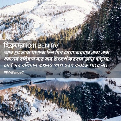 Picture 02 - হিব্রুদের 10:11 BENIRV - আর প্রত্যেক যাজক - Bible Verse Picture
