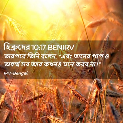 Picture 02 - হিব্রুদের 10:17 BENIRV - তারপরে তিনি বলেন, - Bible Verse Picture