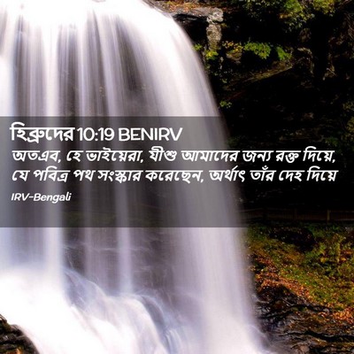 Picture 02 - হিব্রুদের 10:19 BENIRV - অতএব, হে ভাইয়েরা, - Bible Verse Picture