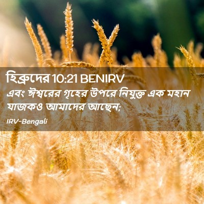 Picture 02 - হিব্রুদের 10:21 BENIRV - এবং ঈশ্বরের গৃহের - Bible Verse Picture