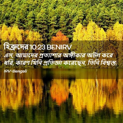 Picture 02 - হিব্রুদের 10:23 BENIRV - এস, আমাদের - Bible Verse Picture